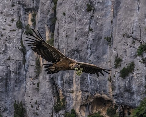 France landscape — photograph 12 of 18