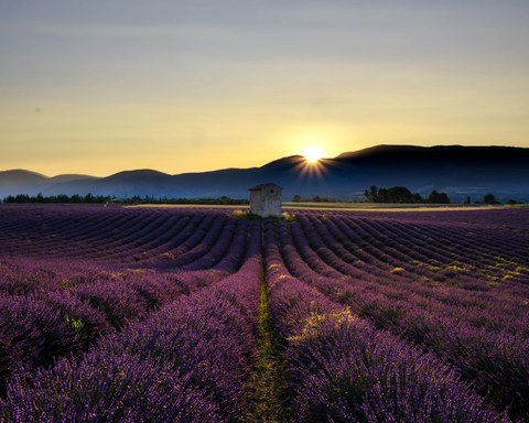 France landscape — photograph 13 of 18