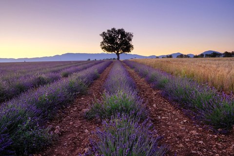France landscape — photograph 15 of 18