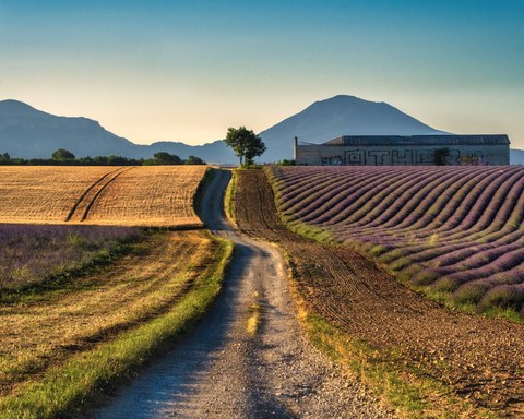 France landscape — photograph 18 of 18