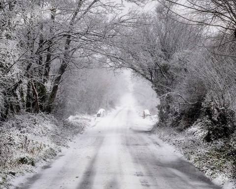 Ireland landscape — photograph 8 of 91