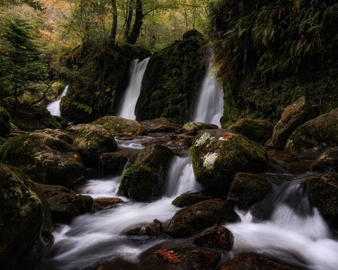 Ireland landscape — photograph 9 of 91