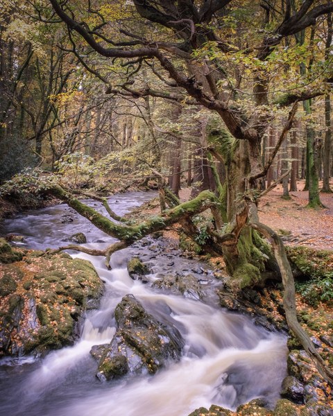 Ireland landscape — photograph 13 of 91