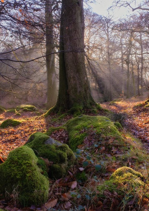 Ireland landscape — photograph 14 of 91