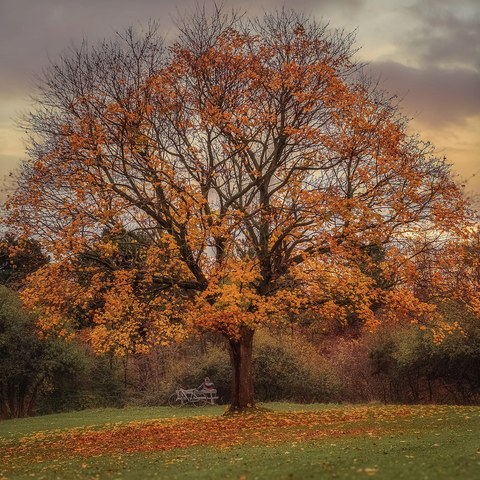 Ireland landscape — photograph 18 of 91