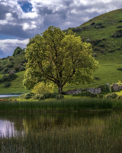 Ireland landscape — photograph 47 of 91