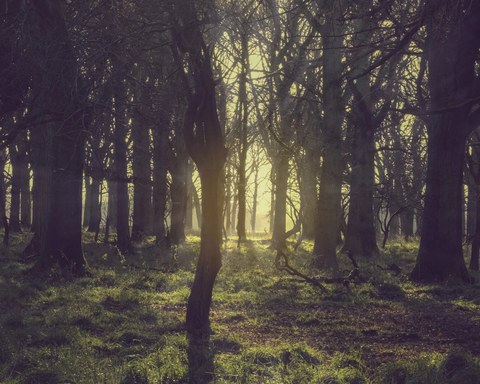 Ireland landscape — photograph 54 of 91