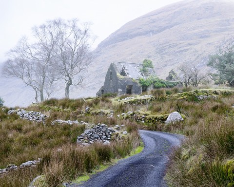 Ireland landscape — photograph 65 of 91
