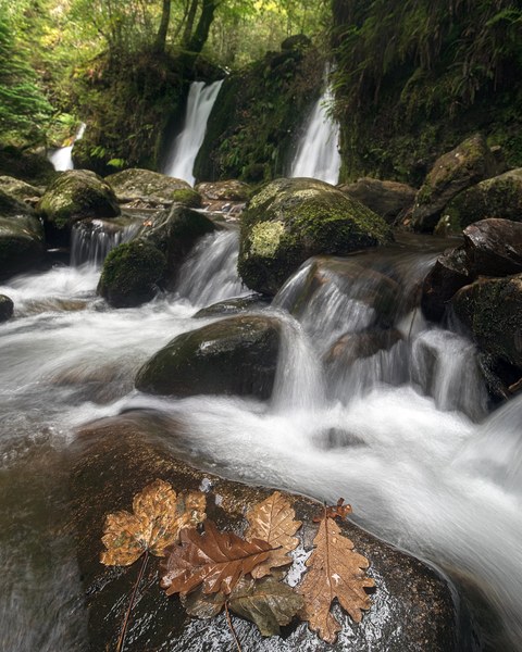 Ireland landscape — photograph 79 of 91