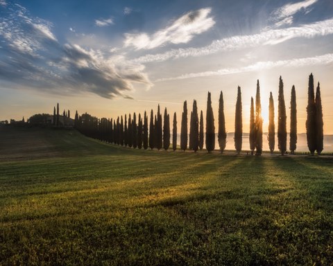 Italy landscape — photograph 19 of 29