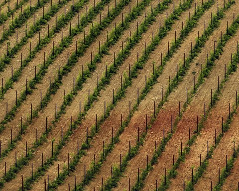 Italy landscape — photograph 21 of 29