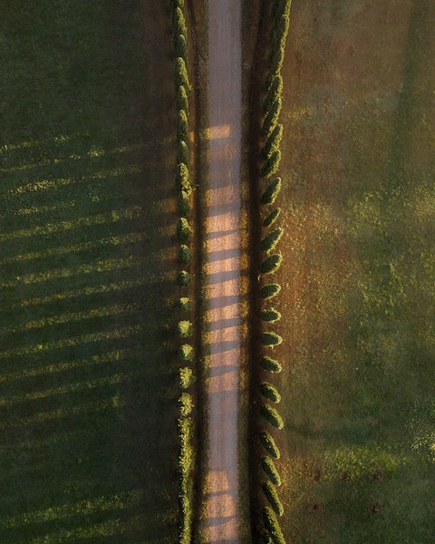 Italy landscape — photograph 26 of 29