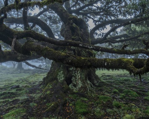 Portugal landscape — photograph 12 of 20