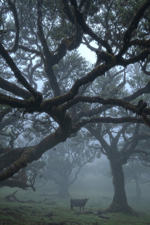 Portugal landscape — photograph 13 of 20