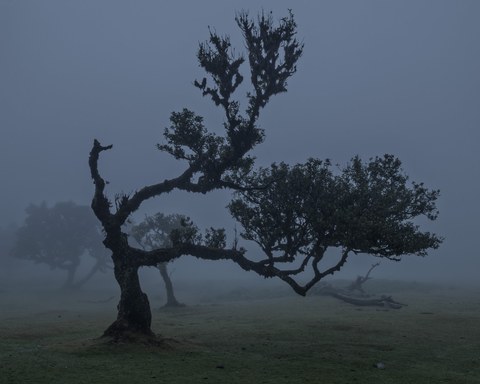 Portugal landscape — photograph 14 of 20