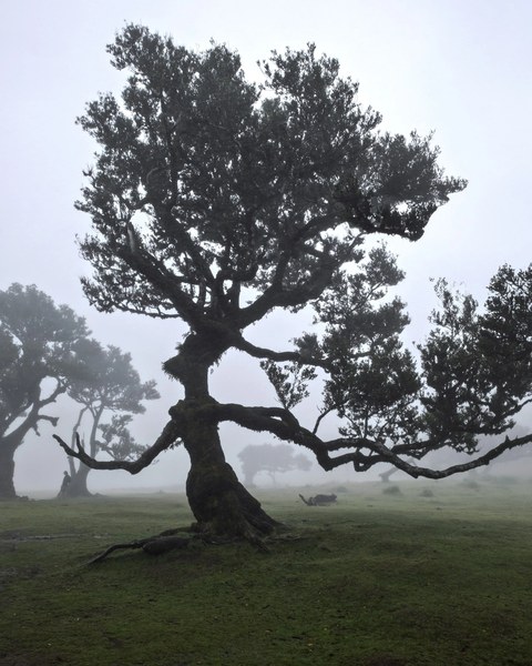 Portugal landscape — photograph 15 of 20