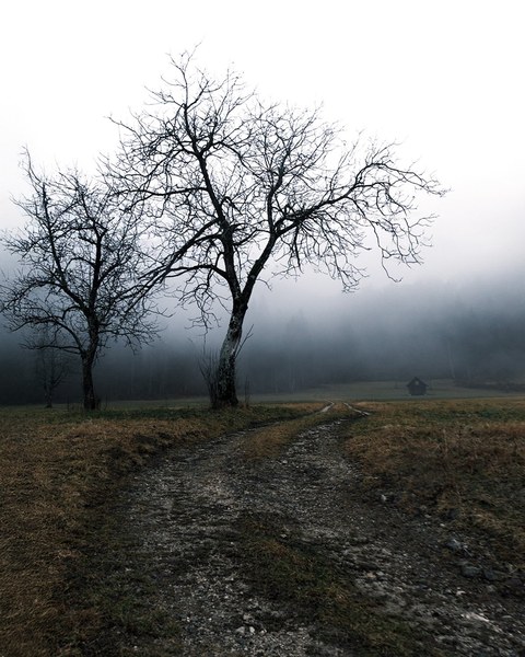Slovenia landscape — photograph 8 of 19