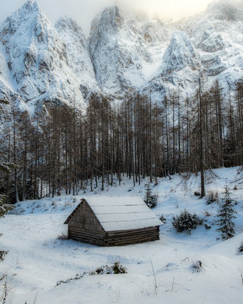 Slovenia landscape — photograph 9 of 19