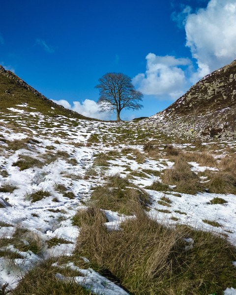 United Kingdom landscape — photograph 15 of 22